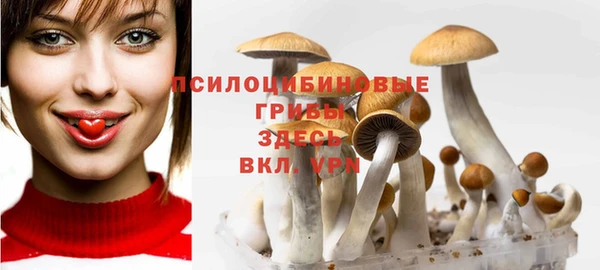 таблы Аркадак